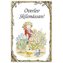 Överlev Skilsmässan!