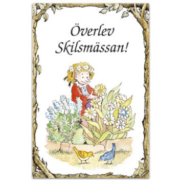 Överlev Skilsmässan!