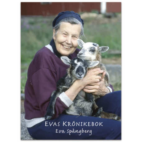 Evas krönikebok