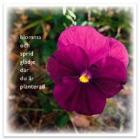 Dubbelt kort - Blomma och sprid glädje