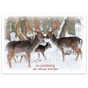 Julkort