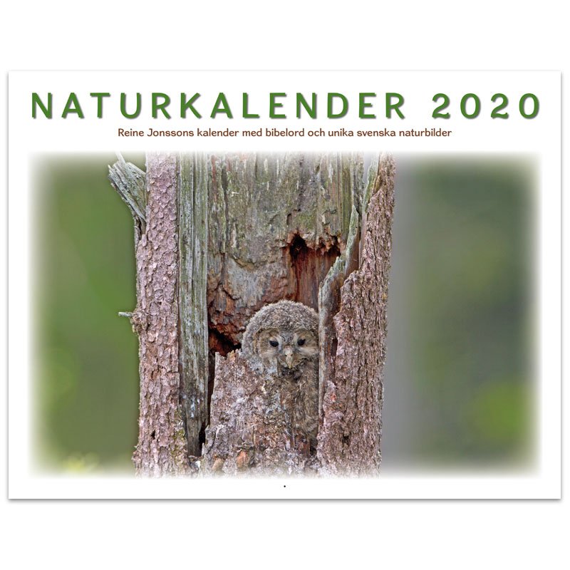 Naturkalender 2020 - Reine Jonsson