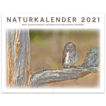 Naturkalender 2021 - Reine Jonsson