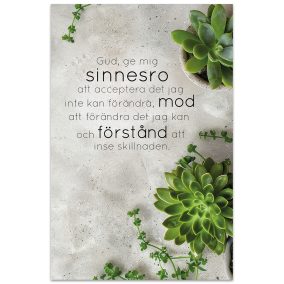 note09 - Anteckningsbok - Sinnesrobönen