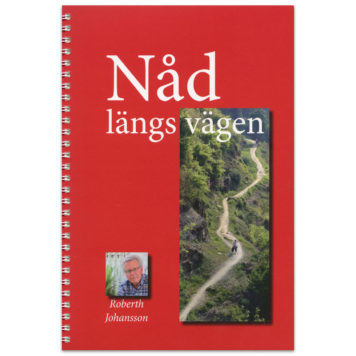 Nåd längs vägen - solbri11